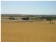 Pieces 202 and 203 Kalperri Road, Sandy Creek SA 5350