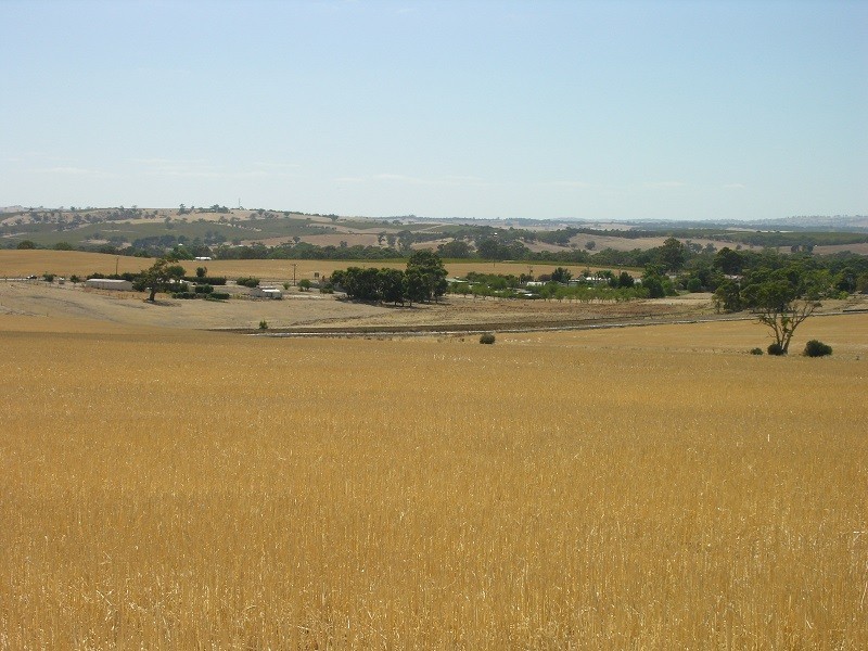 Pieces 202 and 203 Kalperri Road, Sandy Creek SA 5350