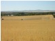 Pieces 202 and 203 Kalperri Road, Sandy Creek SA 5350