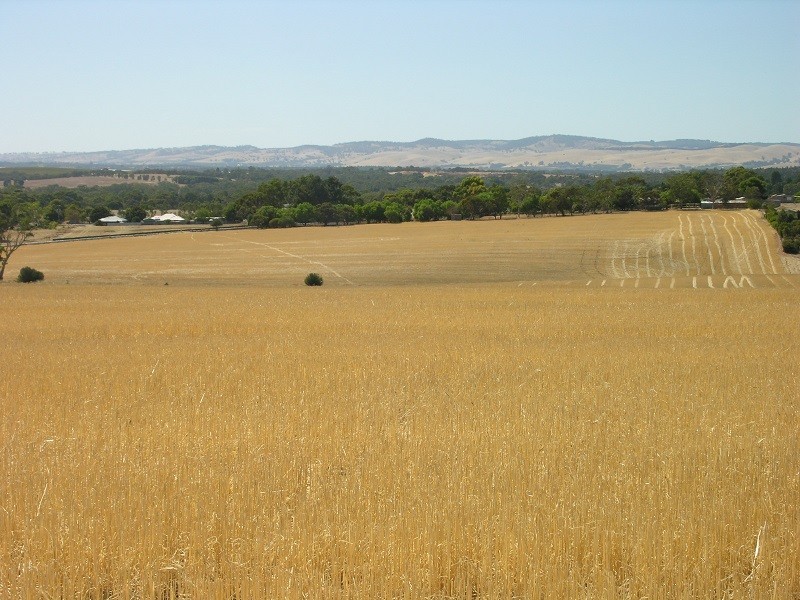 Pieces 202 and 203 Kalperri Road, Sandy Creek SA 5350