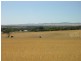 Pieces 202 and 203 Kalperri Road, Sandy Creek SA 5350