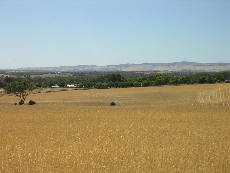 Pieces 202 and 203 Kalperri Road, Sandy Creek SA 5350