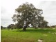 28W. Dewells Road, Springton SA 5235