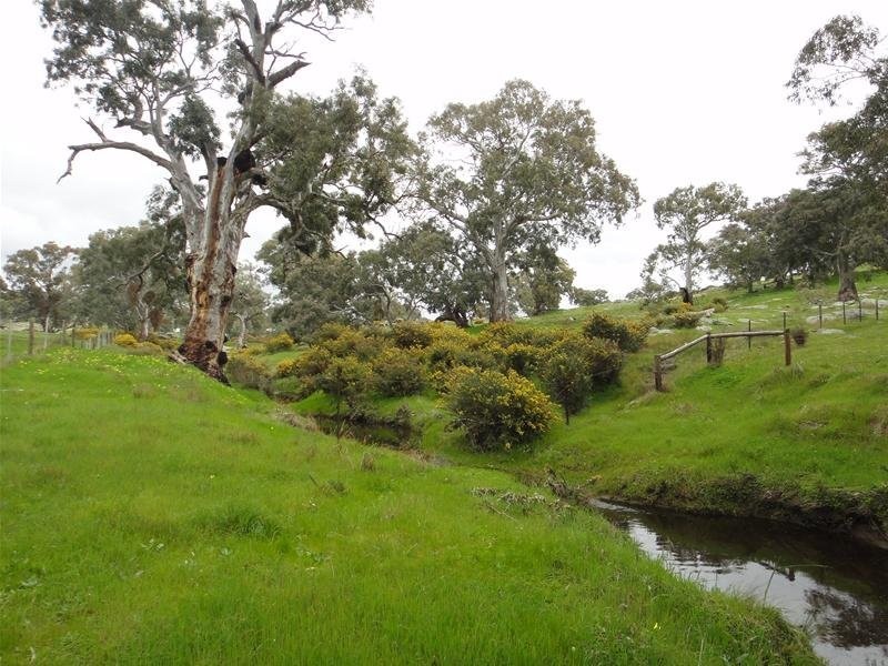 28W. Dewells Road, Springton SA 5235