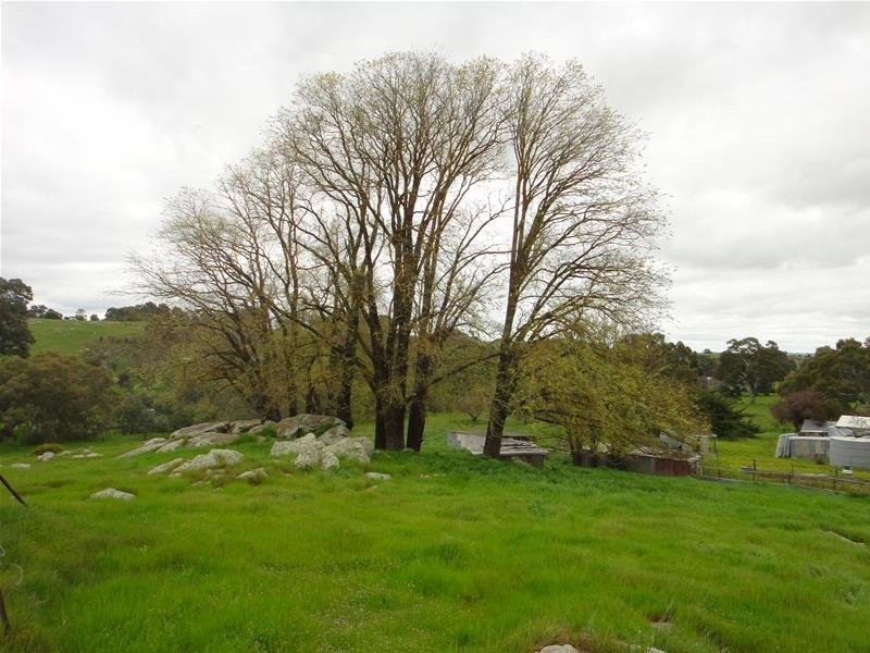 28W. Dewells Road, Springton SA 5235