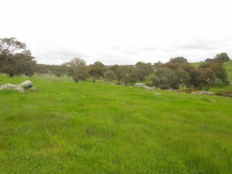28W. Dewells Road, Springton SA 5235