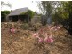 28W. Dewells Road, Springton SA 5235