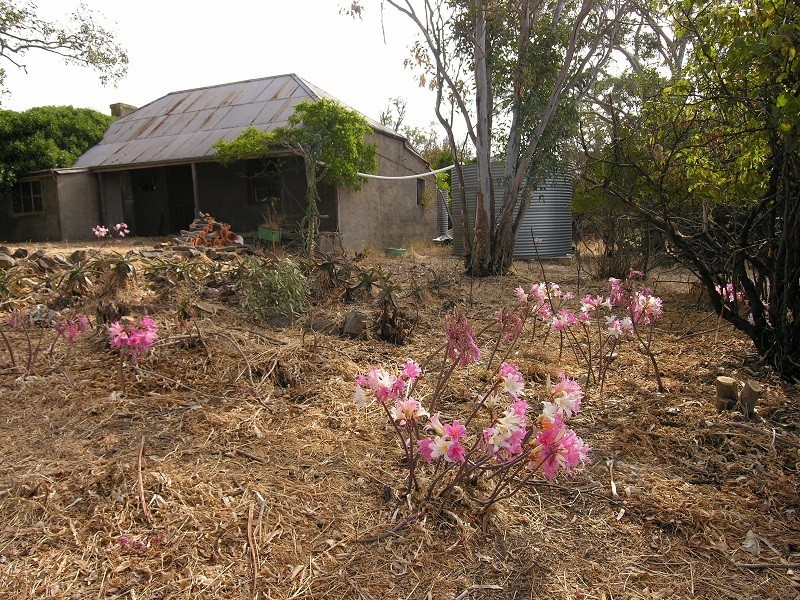 28W. Dewells Road, Springton SA 5235