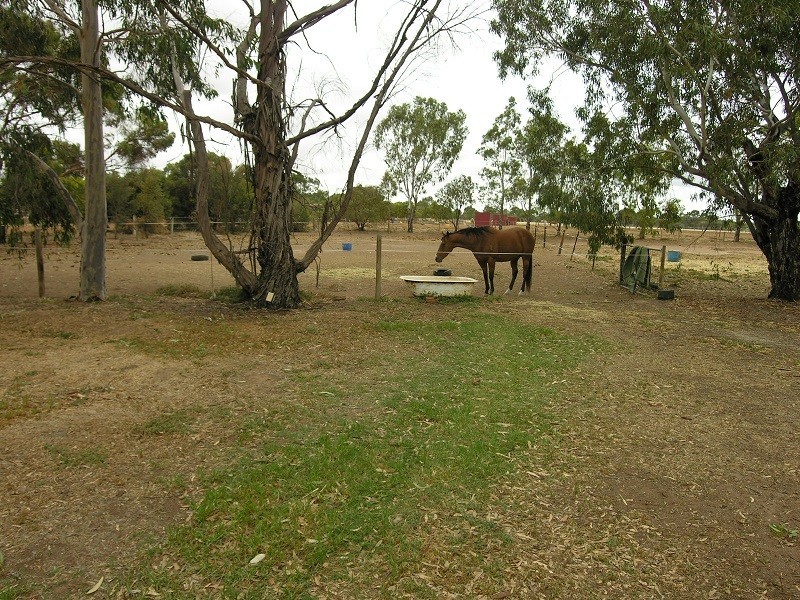 14 Jane Crescent, Lewiston SA 5501