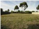 Lot 38 Railway Terrace, Freeling SA 5372