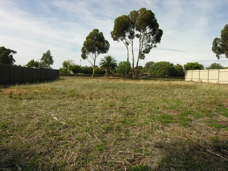 Lot 38 Railway Terrace, Freeling SA 5372
