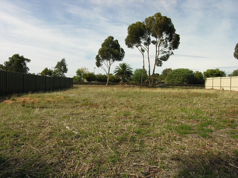 Lot 38 Railway Terrace, Freeling SA 5372