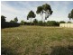 Lot 38 Railway Terrace, Freeling SA 5372