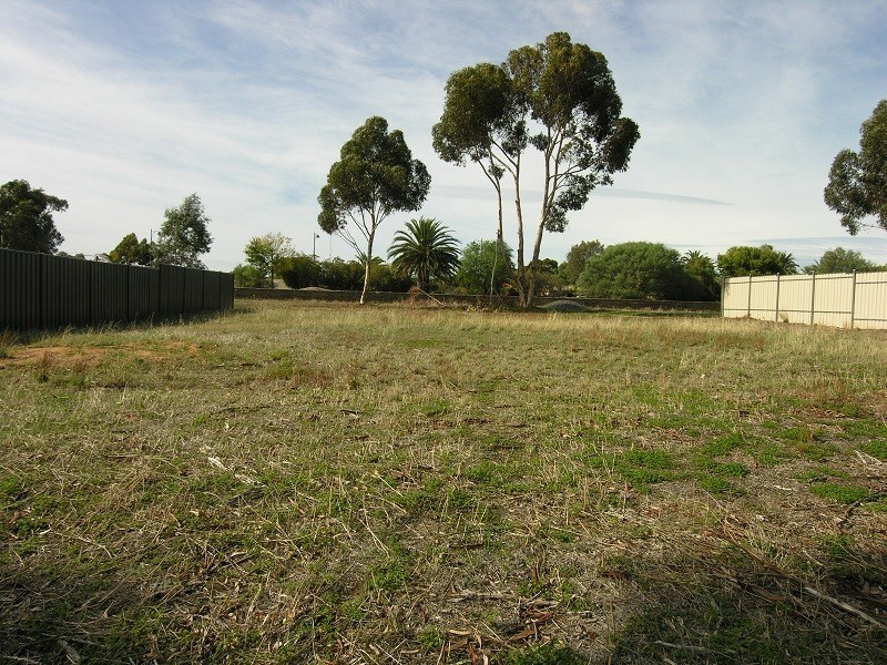 Lot 38 Railway Terrace, Freeling SA 5372
