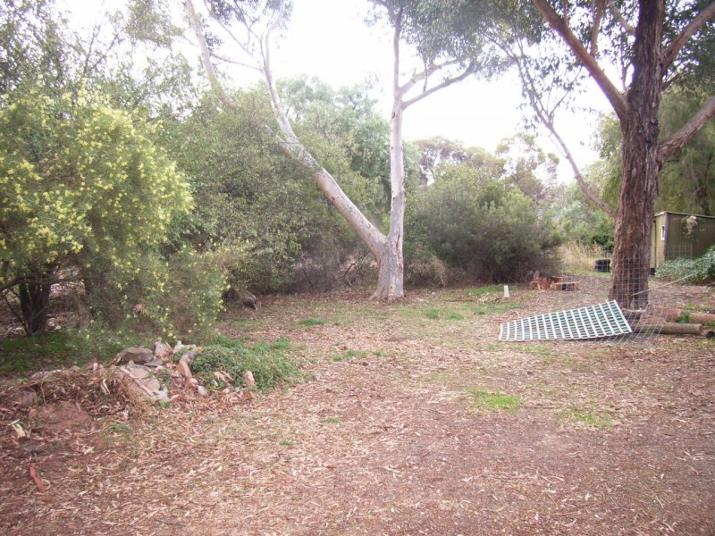 32 Kapunda Street, Kapunda SA 5373