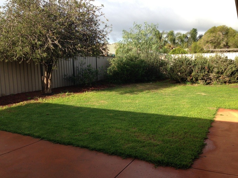 7 Baldock Street, Evanston Gardens SA 5116