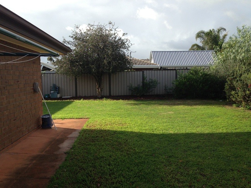 7 Baldock Street, Evanston Gardens SA 5116