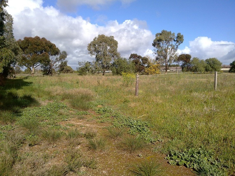 401 Stebonheath Road, Kudla SA 5115