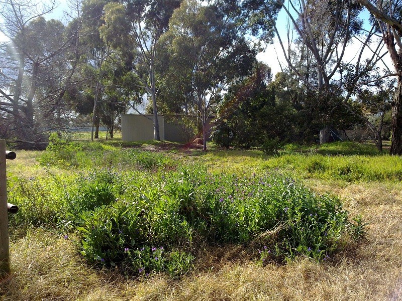 401 Stebonheath Road, Kudla SA 5115