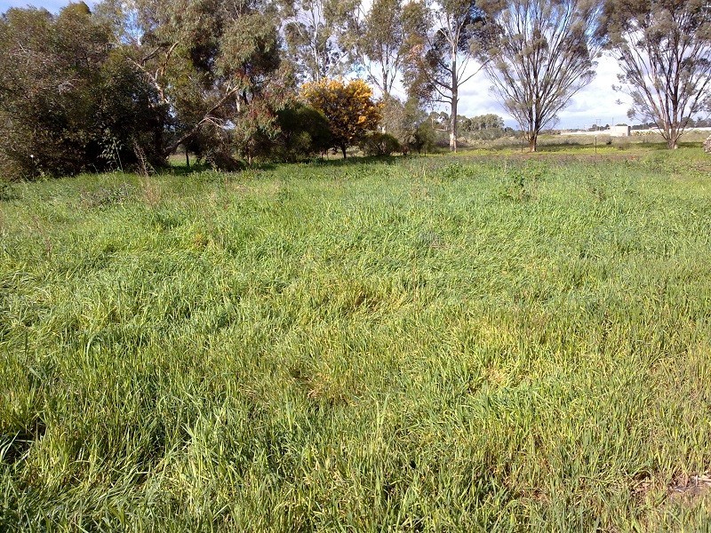 401 Stebonheath Road, Kudla SA 5115