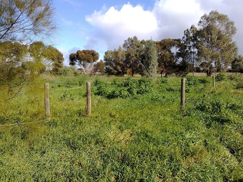 401 Stebonheath Road, Kudla SA 5115