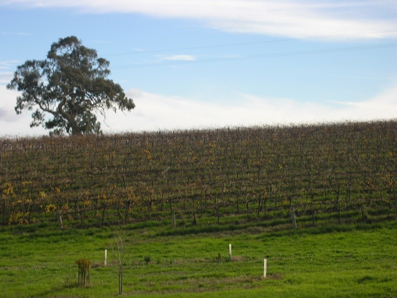 17 Abbaston Road, Williamstown SA 5351