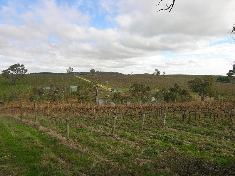 17 Abbaston Road, Williamstown SA 5351