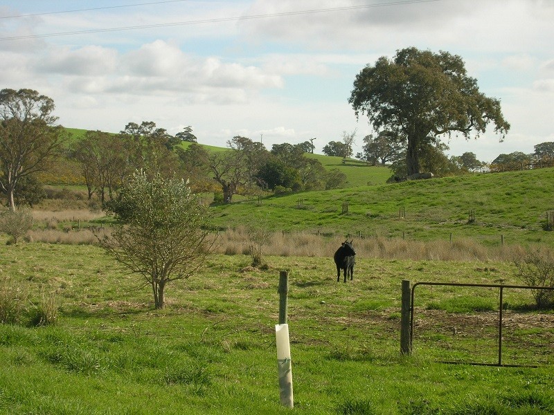 17 Abbaston Road, Williamstown SA 5351