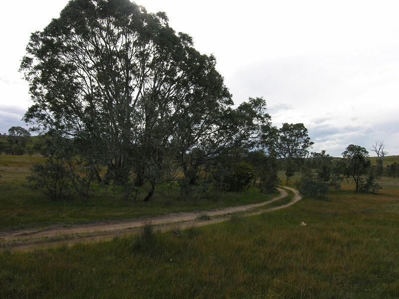 Lot 20 Jutland Road, Springton SA 5235