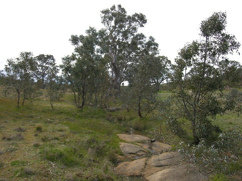 Lot 20 Jutland Road, Springton SA 5235