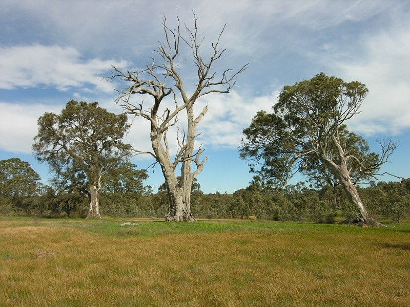 Lot 20 Jutland Road, Springton SA 5235