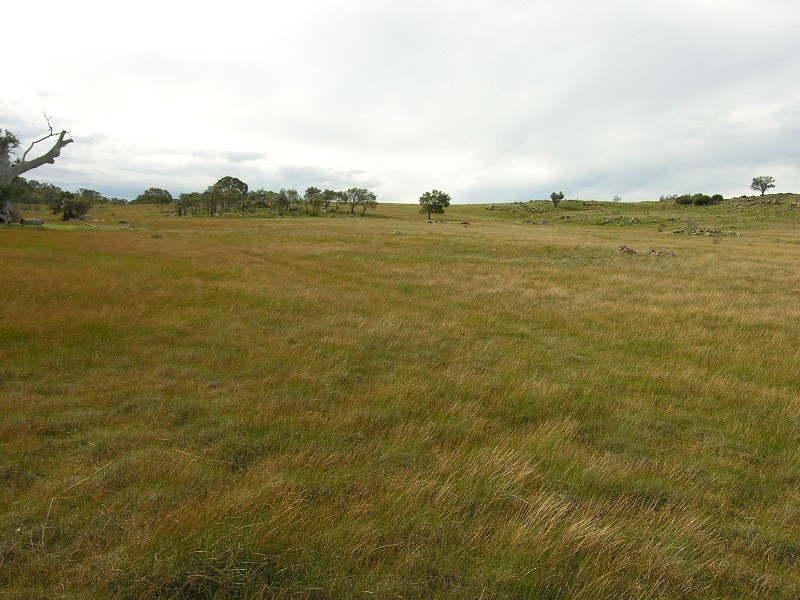 Lot 20 Jutland Road, Springton SA 5235