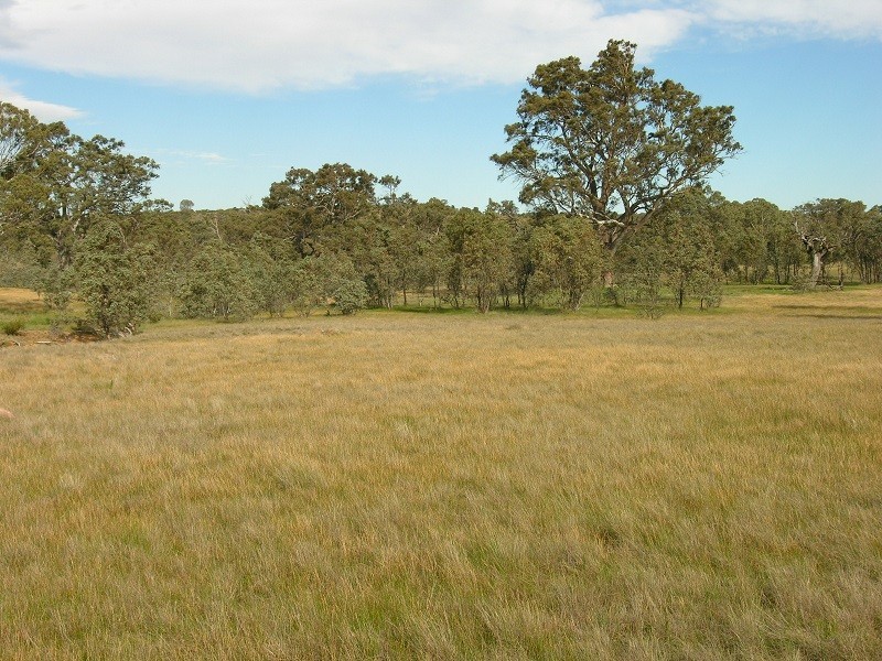 Lot 20 Jutland Road, Springton SA 5235
