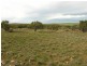 Lot 20 Jutland Road, Springton SA 5235