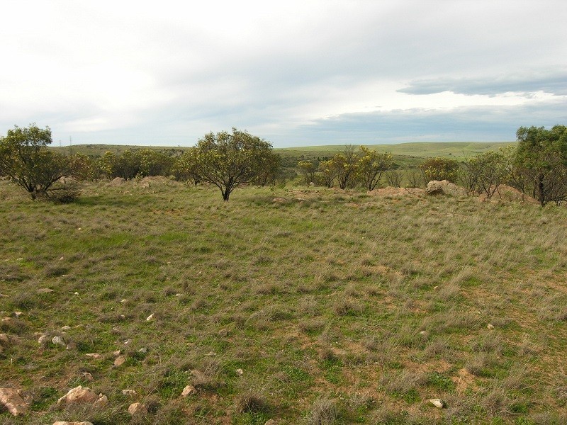 Lot 20 Jutland Road, Springton SA 5235