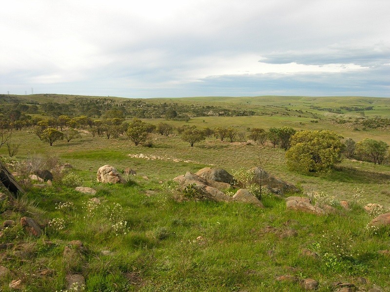 Lot 20 Jutland Road, Springton SA 5235