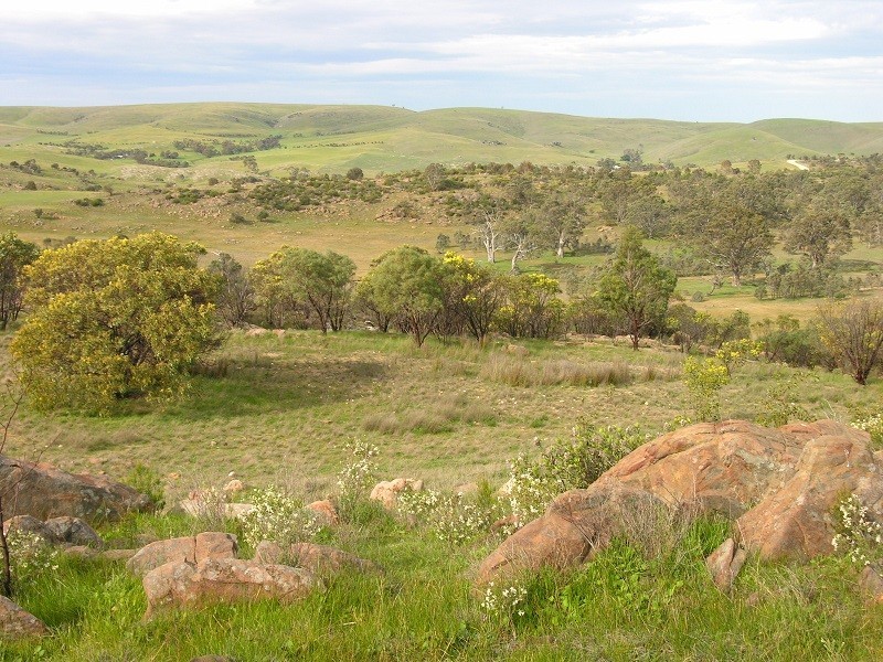 Lot 20 Jutland Road, Springton SA 5235