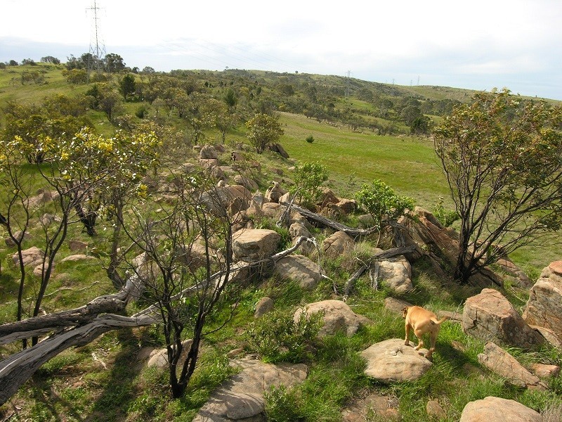 Lot 20 Jutland Road, Springton SA 5235