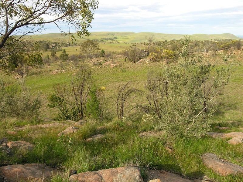 Lot 20 Jutland Road, Springton SA 5235