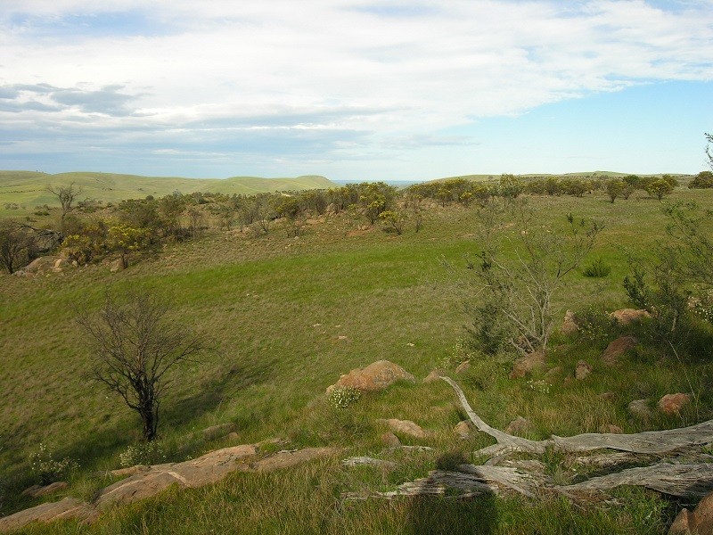 Lot 20 Jutland Road, Springton SA 5235