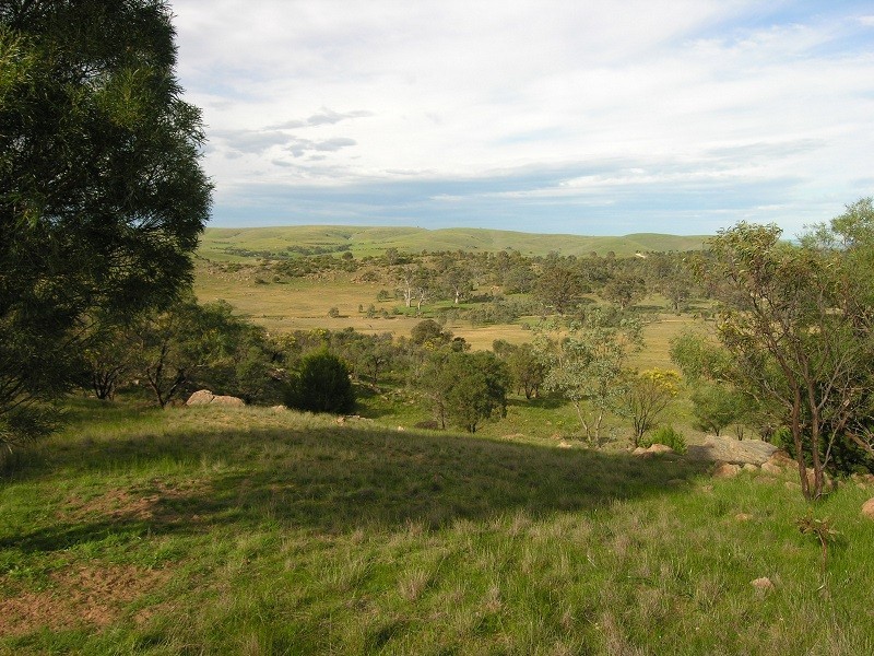 Lot 20 Jutland Road, Springton SA 5235