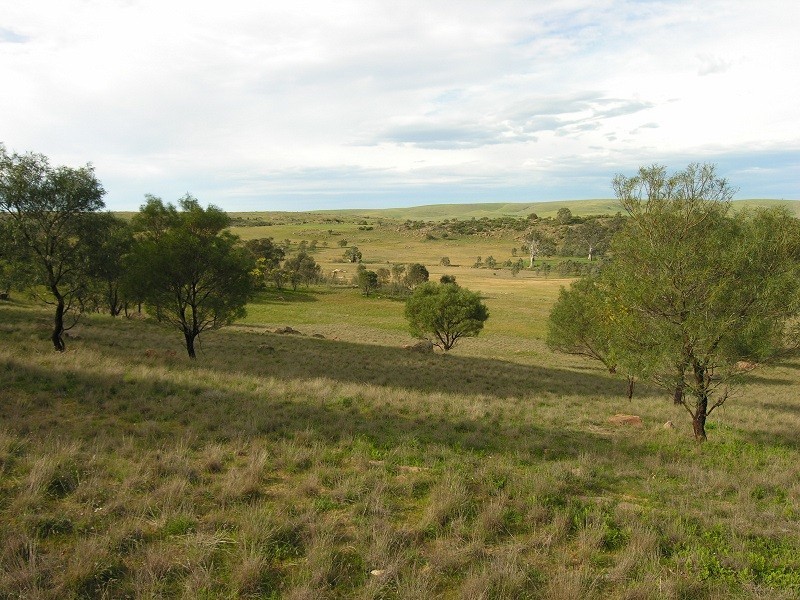 Lot 20 Jutland Road, Springton SA 5235