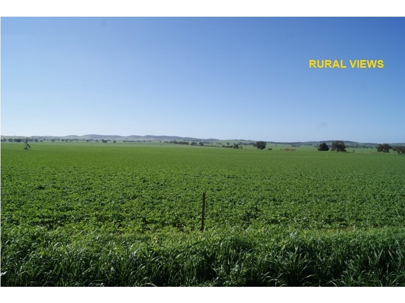 112 Daveyston Road, Freeling SA 5372