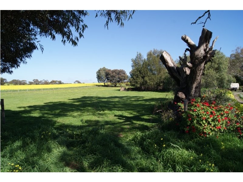 112 Daveyston Road, Freeling SA 5372