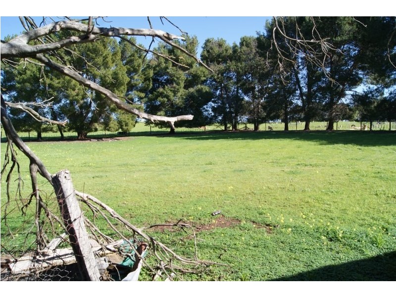 112 Daveyston Road, Freeling SA 5372