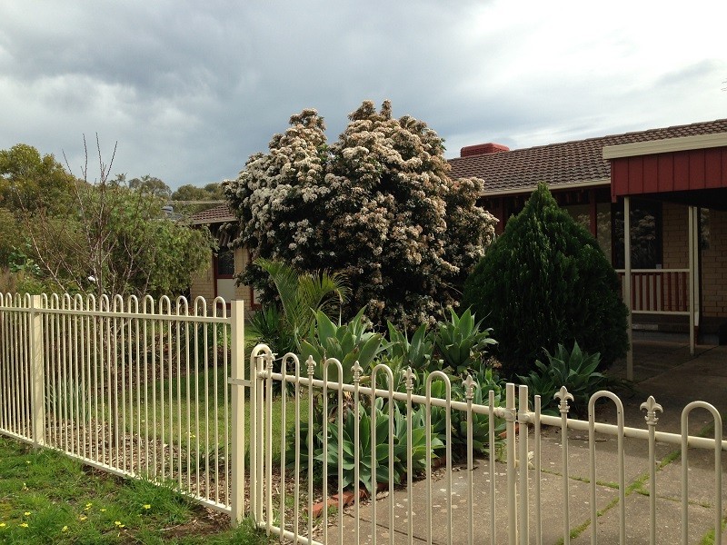 23 Brigalo Street, Gawler West SA 5118