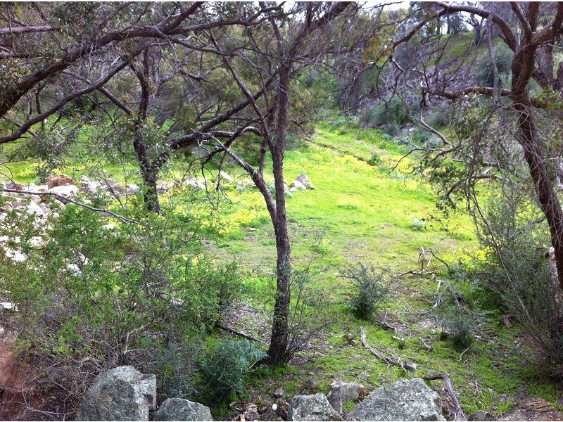 Lot 7 Bentley Road, Uleybury SA 5114