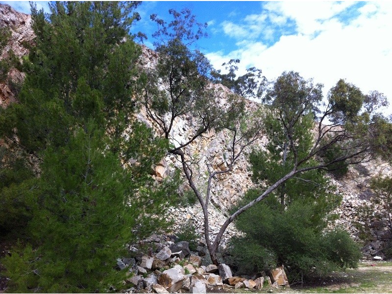 Lot 7 Bentley Road, Uleybury SA 5114