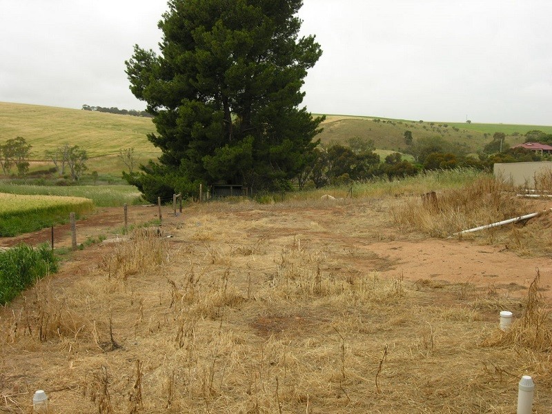 16 South Street, Hamley Bridge SA 5401