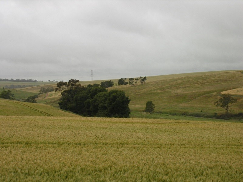 16 South Street, Hamley Bridge SA 5401